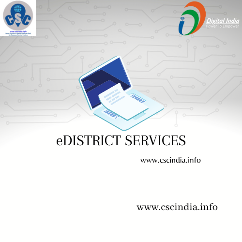 eDistrict Services in India
